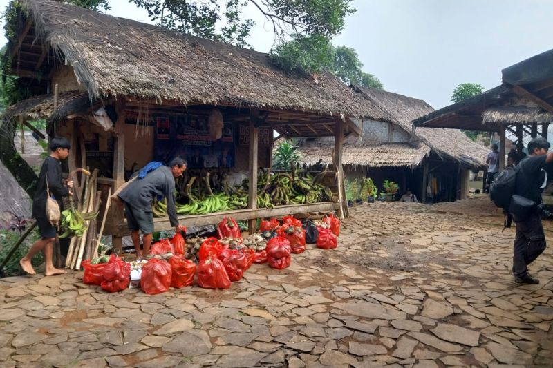 Warga Badui turun gunung jalani upacara tradisi Seba Warga Badui turun gunung jalani upacara tradisi Seba