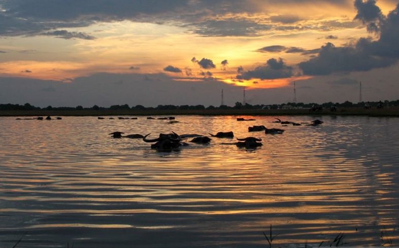 Pemandangan Padang Pajongan Bombana yang memikat wisatawan Pemandangan Padang Pajongan Bombana yang memikat wisatawan