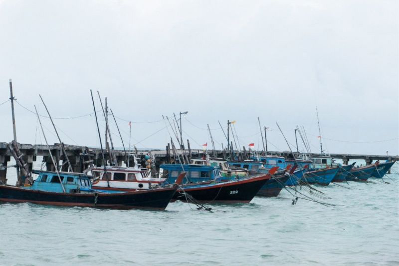 Pemerintah upayakan pembebasan nelayan Natuna yang ditahan Malaysia Pemerintah upayakan pembebasan nelayan Natuna yang ditahan Malaysia