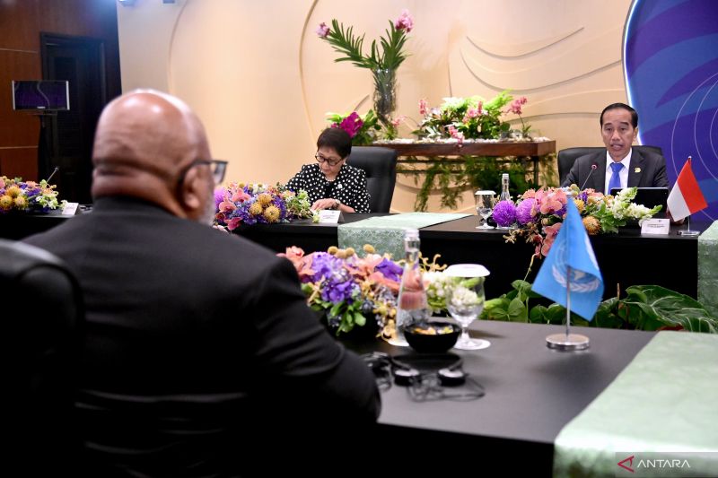 Presiden dorong penyelesaian situasi Palestina saat bertemu wakil PBB Presiden dorong penyelesaian situasi Palestina saat bertemu wakil PBB
