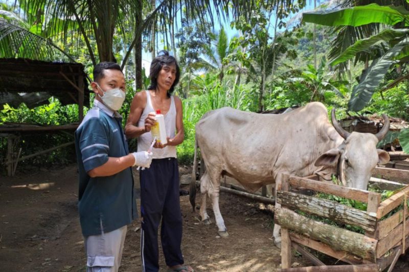 Dinas Peternakan Gunungkidul intensifkan pengawasan hewan ternak Dinas Peternakan Gunungkidul intensifkan pengawasan hewan ternak