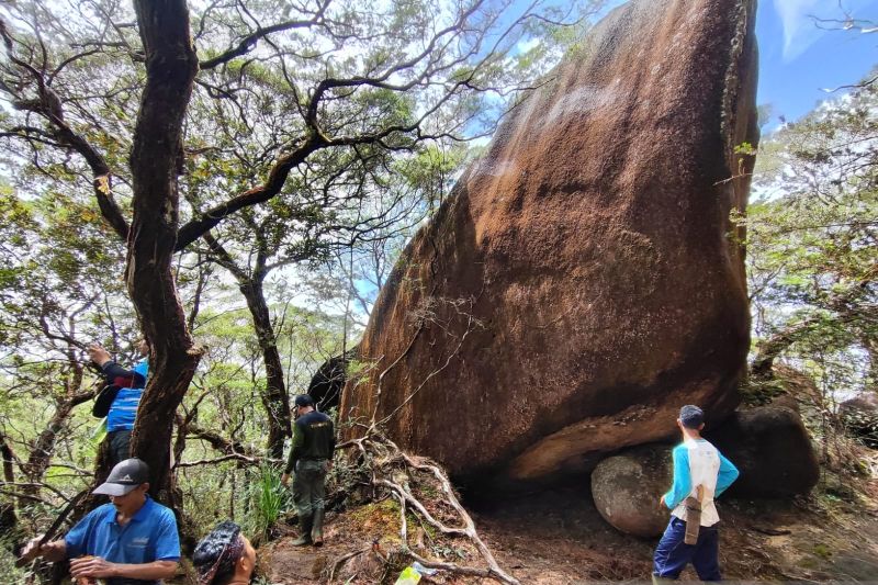12 tipe ekosistem hutan teridentifikasi di TN Gunung Palung Kalbar