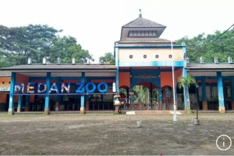 Wali Kota Medan targetkan investasi Medan Zoo mulai Juni Wali Kota Medan targetkan investasi Medan Zoo mulai Juni