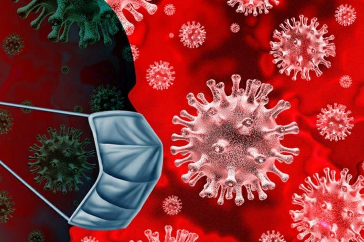 Wabah virus Lassa di Nigeria sebabkan 156 orang meninggal