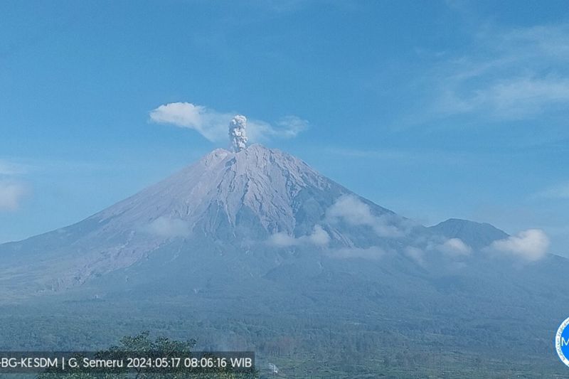 Gunung Semeru lima kali erupsi dengan tinggi letusan hingga 900 meter Gunung Semeru lima kali erupsi dengan tinggi letusan hingga 900 meter