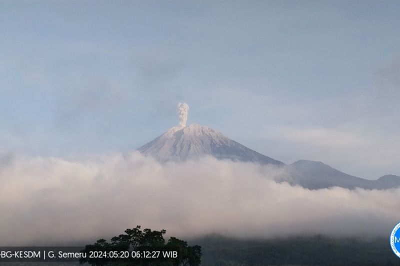 Gunung Semeru kembali erupsi lontarkan abu vulkanik setinggi 800 meter Gunung Semeru kembali erupsi lontarkan abu vulkanik setinggi 800 meter