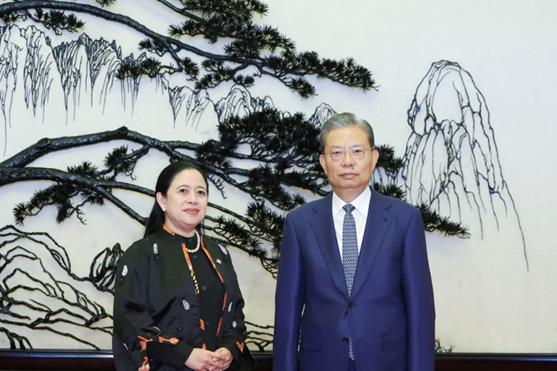 Ketua NPC sebut Indonesia-China sahabat tradisional Ketua NPC sebut Indonesia-China sahabat tradisional