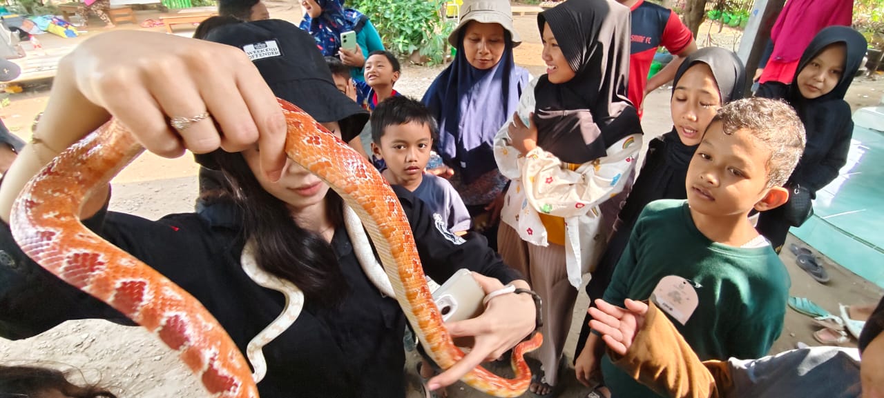 Komunitas Reptil Kediri edukasi dan bantu penanganan satwa liar Komunitas Reptil Kediri edukasi dan bantu penanganan satwa liar