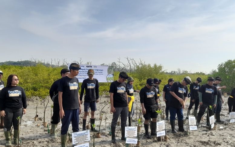 Bulog & komunitas Bali tanam-sulam mangrove di tengah tantangan cuaca Bulog & komunitas Bali tanam-sulam mangrove di tengah tantangan cuaca