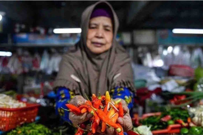 Harga cabai rawit merah capai Rp39.520 per kg di akhir November Harga cabai rawit merah capai Rp39.520 per kg di akhir November