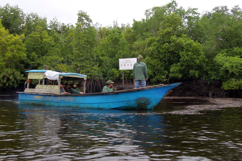 UGM latih 80 petugas pencatat serapan karbon pada mangrove UGM latih 80 petugas pencatat serapan karbon pada mangrove