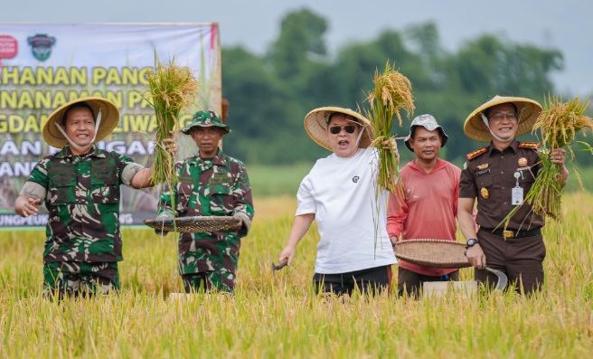 TNI AD - pendiri JHL panen raya, produksi beras meningkat empat kali lipat TNI AD - pendiri JHL panen raya, produksi beras meningkat empat kali lipat