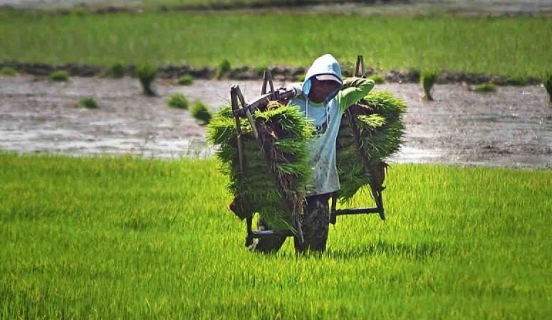Pengoptimalan peran desa sebagai pilar swasembada pangan Pengoptimalan peran desa sebagai pilar swasembada pangan