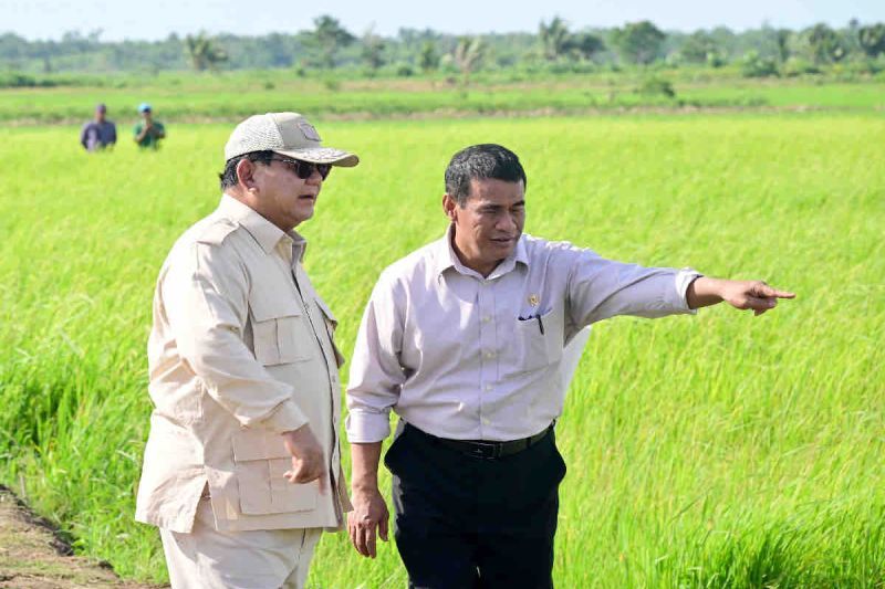 Mentan berikan pendampingan petani dan penerapan mekanisasi di Merauke Mentan berikan pendampingan petani dan penerapan mekanisasi di Merauke