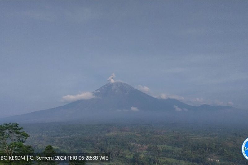 Gunung Semeru delapan kali erupsi disertai letusan hingga 700 meter Gunung Semeru delapan kali erupsi disertai letusan hingga 700 meter