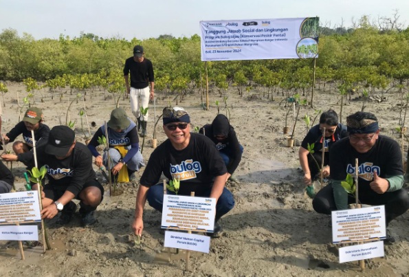 Bulog tanam 570 bibit mangrove di Bali Bulog tanam 570 bibit mangrove di Bali