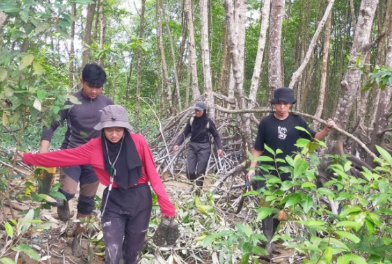 BRGM-IPB lakukan penilaian dan pemetaan ekosistem mangrove di Langkat BRGM-IPB lakukan penilaian dan pemetaan ekosistem mangrove di Langkat