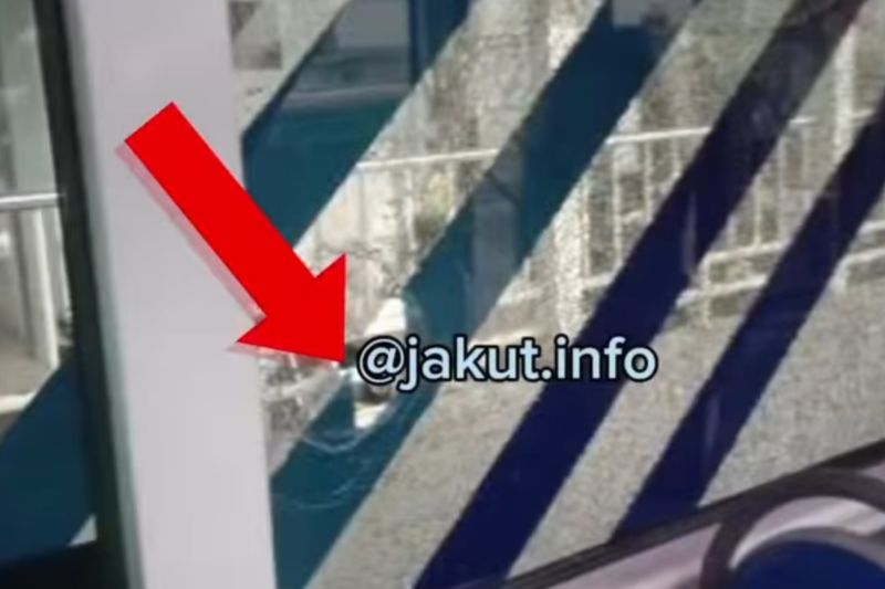 Transjakarta laporkan pelaku yang rusak kaca depan bus ke Kepolisian Transjakarta laporkan pelaku yang rusak kaca depan bus ke Kepolisian
