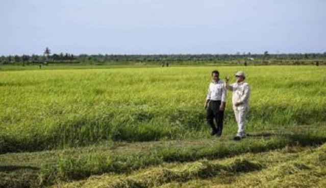 Mentan Amran janji mundur jika gagal berantas mafia impor pangan Mentan Amran janji mundur jika gagal berantas mafia impor pangan