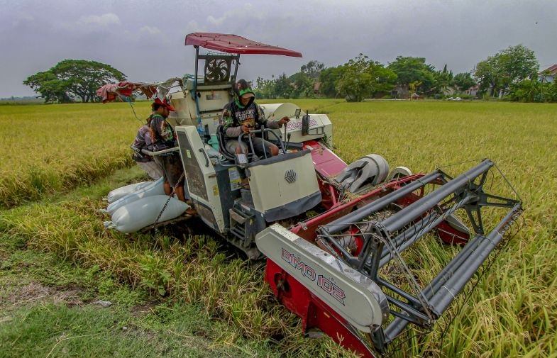 Relevansi dan urgensi swasembada pangan di Indonesia Relevansi dan urgensi swasembada pangan di Indonesia