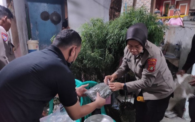 Polisi sita 40 pohon ganja dalam penggerebekan rumah di Cengkareng Polisi sita 40 pohon ganja dalam penggerebekan rumah di Cengkareng