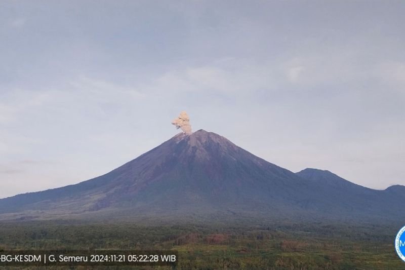 Gunung Semeru kembali erupsi dengan letusan setinggi 800 meter Gunung Semeru kembali erupsi dengan letusan setinggi 800 meter