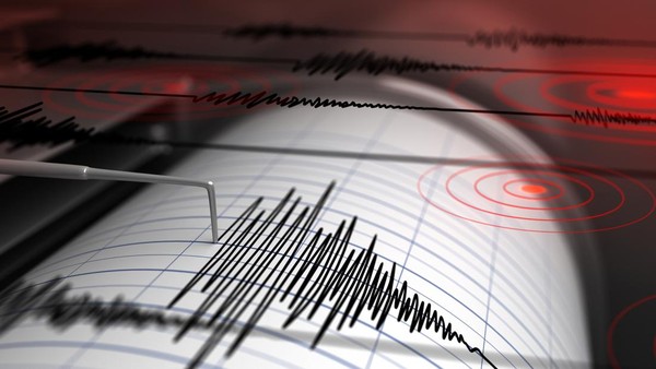 8 November 2023: Gempa Magnitudo 7,2 guncang Maluku bikin pegawai kantor berhamburan 8 November 2023: Gempa Magnitudo 7,2 guncang Maluku bikin pegawai kantor berhamburan