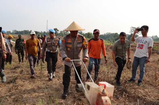 Dukung ketahanan pangan, Polres Serang tanam jagung pada 10 hektar lahan tidur Dukung ketahanan pangan, Polres Serang tanam jagung pada 10 hektar lahan tidur