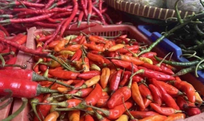 Harga pangan di Jumat, cabai rawit merah naik menjadi Rp42.630 per kg Harga pangan di Jumat, cabai rawit merah naik menjadi Rp42.630 per kg