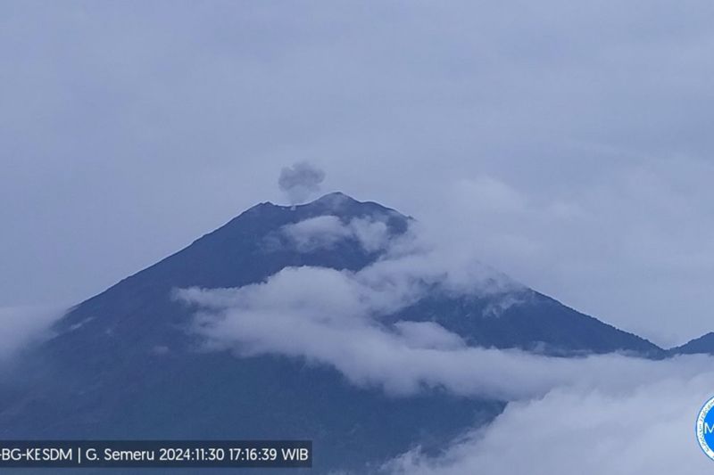 Gunung Semeru kembali erupsi dengan letusan setinggi 500 meter Gunung Semeru kembali erupsi dengan letusan setinggi 500 meter