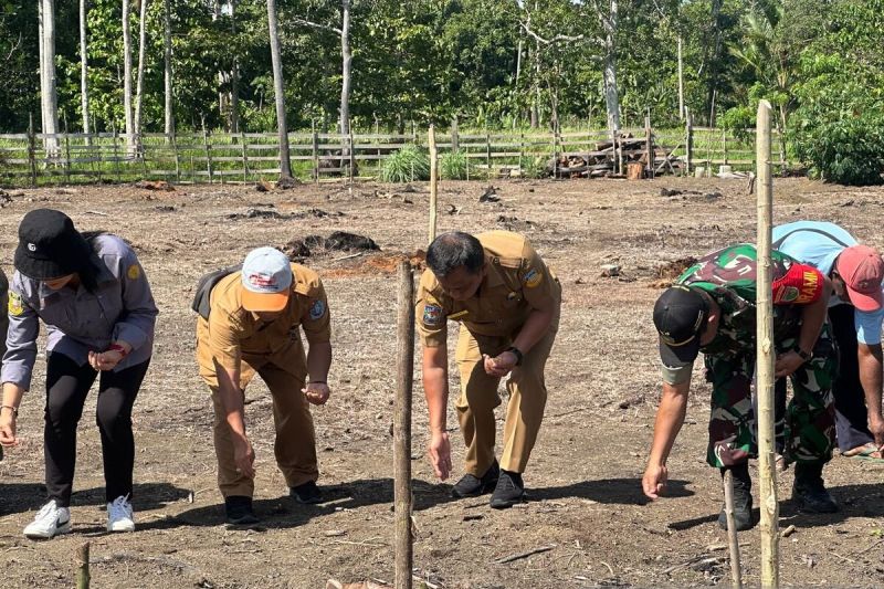 Pemkab Jayapura-masyarakat adat kolaborasi dukung program food estate Pemkab Jayapura-masyarakat adat kolaborasi dukung program food estate