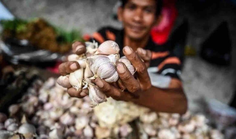 Harga pangan di Minggu, bawang putih menjadi Rp40.810 per kg Harga pangan di Minggu, bawang putih menjadi Rp40.810 per kg