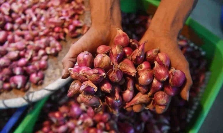 Harga pangan, bawang merah naik menjadi Rp37.410 per kg Harga pangan, bawang merah naik menjadi Rp37.410 per kg
