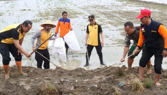 Tikus mengganas, Polres dan Kodim 0722 Kudus lakukan gropyokan tikus Tikus mengganas, Polres dan Kodim 0722 Kudus lakukan gropyokan tikus