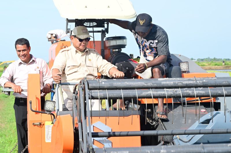 Presiden tinjau tanam-panen padi di Merauke untuk swasembada pangan Presiden tinjau tanam-panen padi di Merauke untuk swasembada pangan