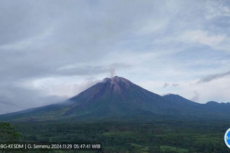 Semeru beberapa kali erupsi dengan tinggi letusan hingga 800 meter Semeru beberapa kali erupsi dengan tinggi letusan hingga 800 meter