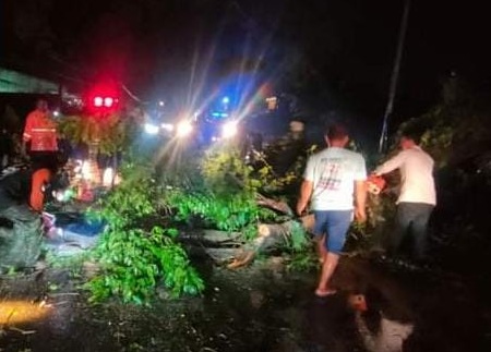 Angin kencang sebabkan dua warga Kudus tertimpa pohon Angin kencang sebabkan dua warga Kudus tertimpa pohon