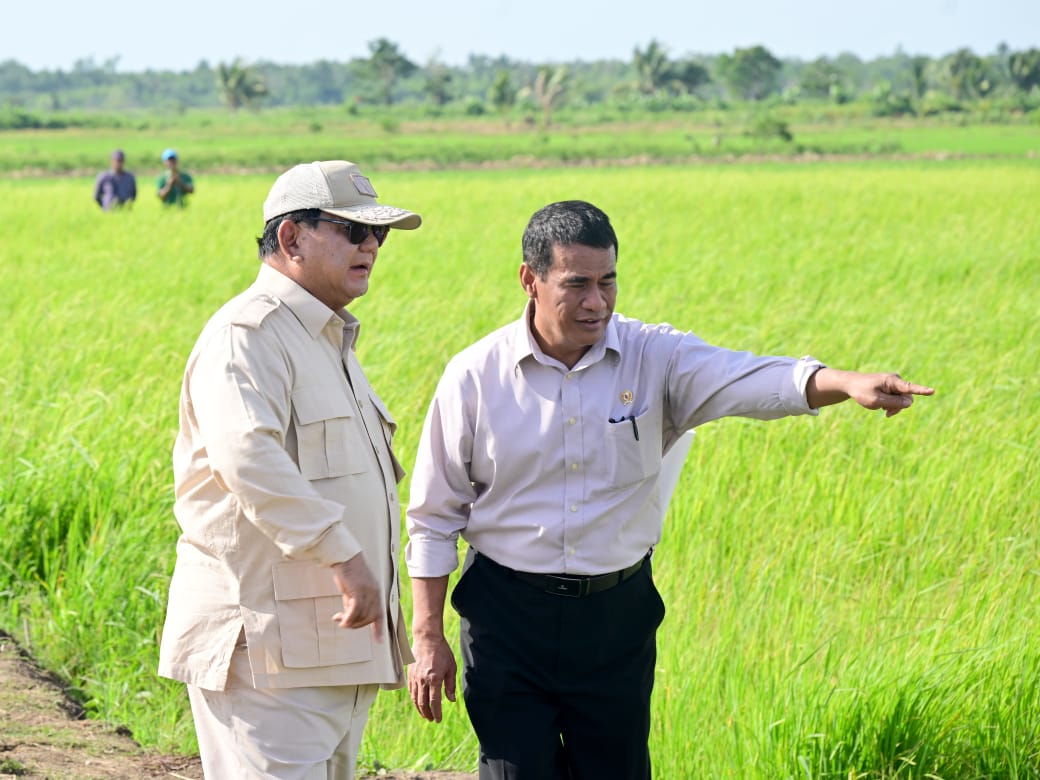 Presiden Prabowo Subianto tinjau panen padi di Merauke Presiden Prabowo Subianto tinjau panen padi di Merauke