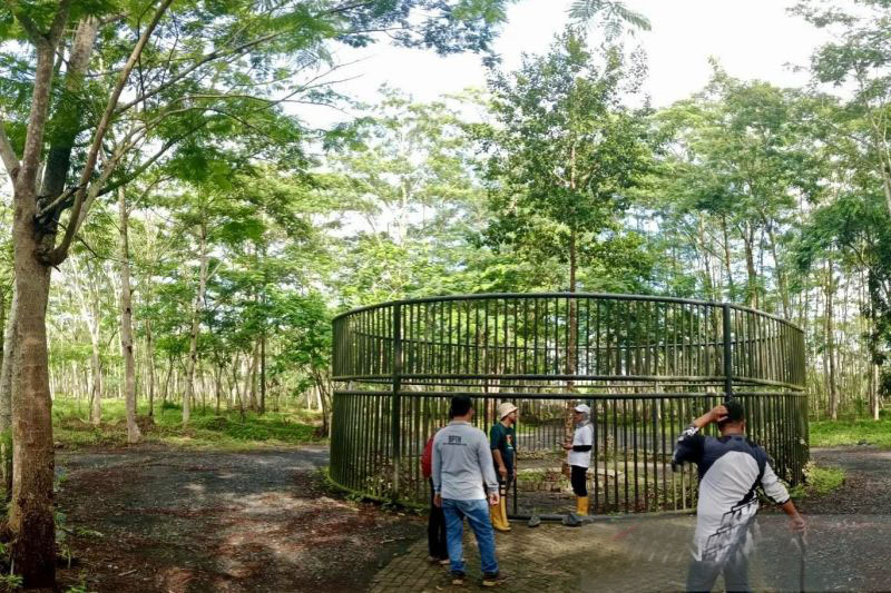 Hutan Hujan Tropis di Kalsel motivasi warga jaga ekosistem lingkungan