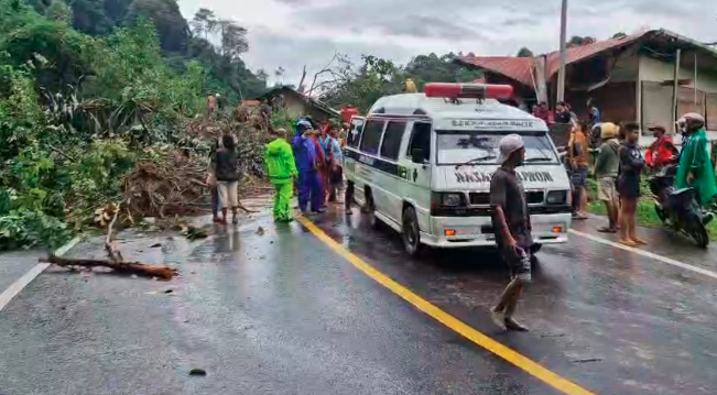 Longsor Sibolangit, 9 meninggal dunia 1 belum ditemukan Longsor Sibolangit, 9 meninggal dunia 1 belum ditemukan