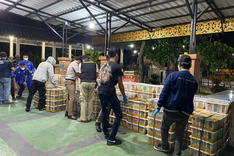 Petugas gagalkan penyelundupan 6.514 ekor burung ilegal di Bakauheni Petugas gagalkan penyelundupan 6.514 ekor burung ilegal di Bakauheni