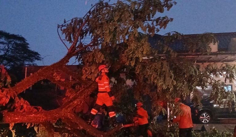 Pemkot Bogor tangani 10 bencana akibat hujan deras dan angin kencang Pemkot Bogor tangani 10 bencana akibat hujan deras dan angin kencang