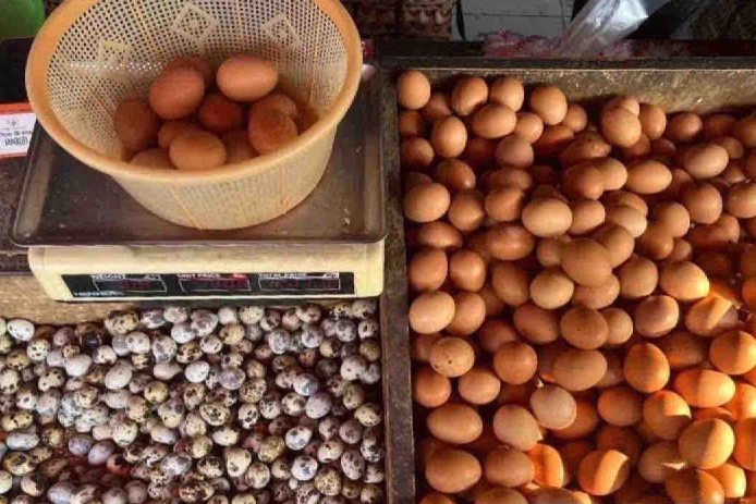 Harga telur ayam naik jadi Rp29.190 per kg pada Sabtu