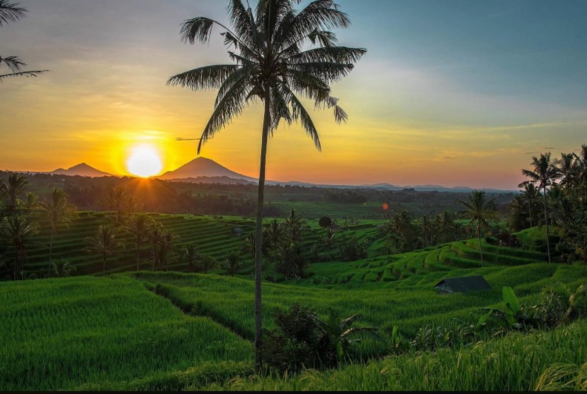 Desa Wisata Jatiluwih tawarkan pesona alam matahari terbit 
