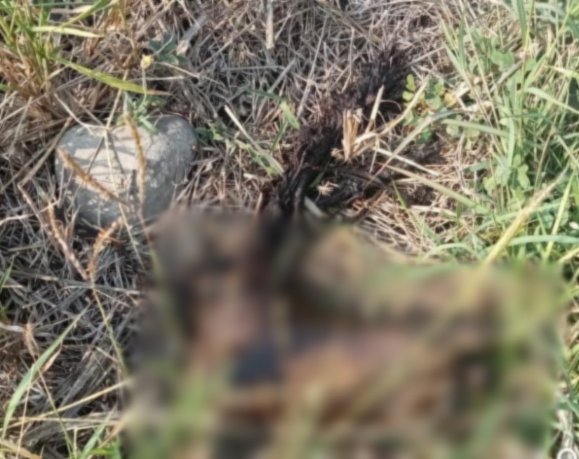 Warga Keturen Kota Tegal digegerkan penemuan potongan kaki manusia Warga Keturen Kota Tegal digegerkan penemuan potongan kaki manusia