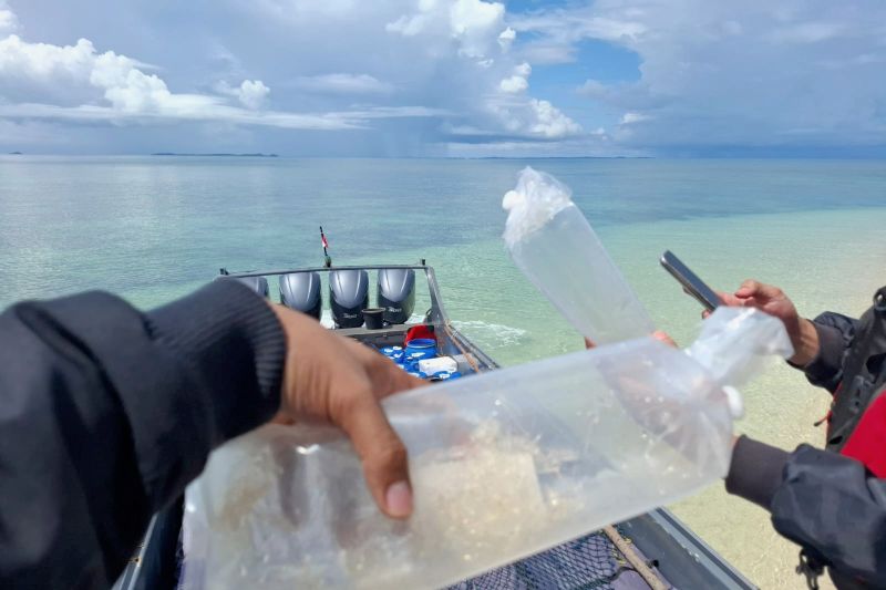 Bea Cukai gagalkan penyelundupan benih lobster senilai Rp26,9 miliar Bea Cukai gagalkan penyelundupan benih lobster senilai Rp26,9 miliar