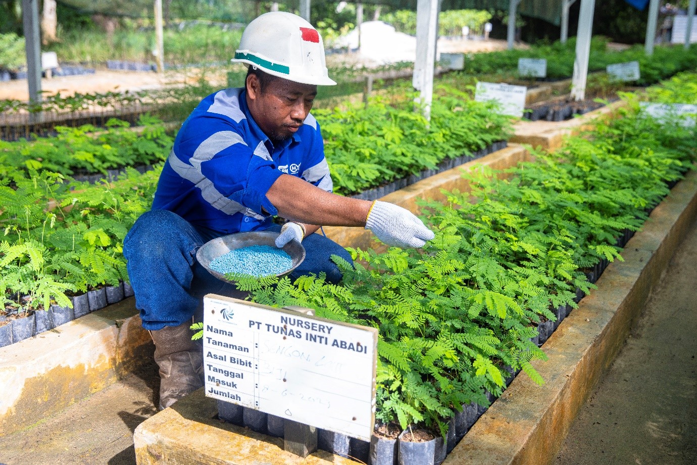 Dapat predikat terbaik dari Kementerian ESDM, ABM Investama giat lestarikan lingkungan
