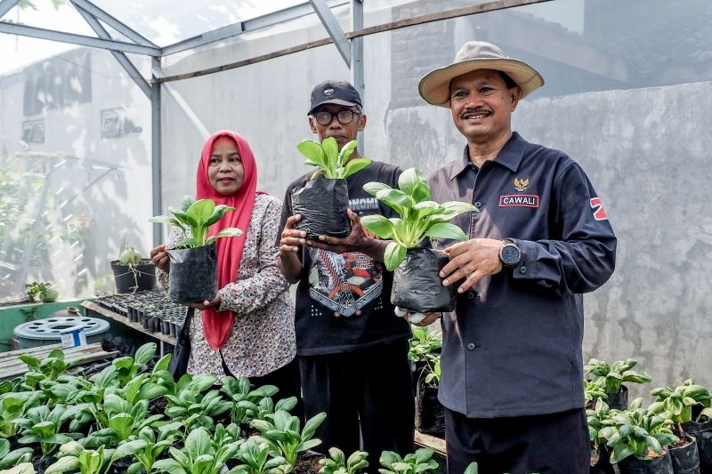 Cawali Kota Madiun janji kembangkan program P2L untuk ketahanan pangan