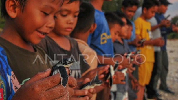 LEPA lepasliarkan 1.000 tukik ke laut Aceh LEPA lepasliarkan 1.000 tukik ke laut Aceh