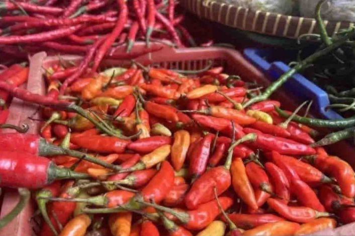 Harga cabai rawit naik jadi Rp48.570 per kg Harga cabai rawit naik jadi Rp48.570 per kg